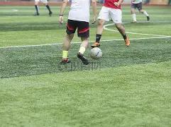 神秘彩猫揭,期双色球免,费攻略,竞彩网,竞彩网官方首页,竞彩网首页官方,竞彩网首页