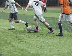 双色球神预,期独家定胆,秘籍,竞彩网,竞彩网官方首页,竞彩网首页官方,竞彩网首页