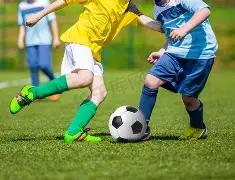 龙头凤尾秘,籍大公开,期大乐透前,竞彩网,竞彩网官方首页,竞彩网首页官方,竞彩网首页