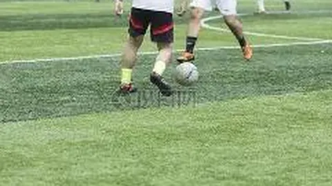 【神秘彩猫揭秘】2025139期双色球免费攻略：红球秘码大公开——01、20、21，不容错过！