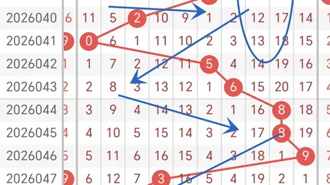 【王立君独家揭秘】2026017期大乐透生肖幸运三胆：奇数魅力组合09、16、27！速来一探究竟！