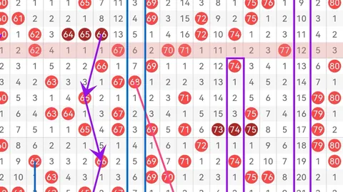 初心小妹快乐8第2026078期走势分析及专家推荐