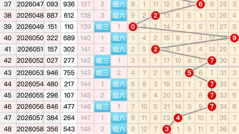 超级大乐透26021期专家推荐：质合分析前区十码胆码03 0
