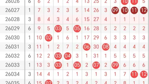 【彩界新手必看】2026017期双色球风向标揭晓：龙头凤尾锁定17号与24号！